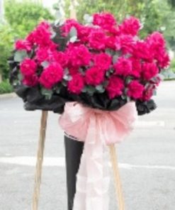 bó hoa hồng đỏ vĩ đại