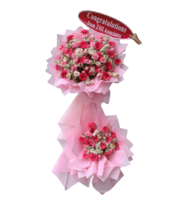 kệ hoa khai trương hồng an vượng phát