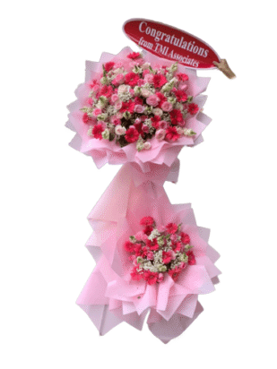 kệ hoa khai trương hồng an vượng phát