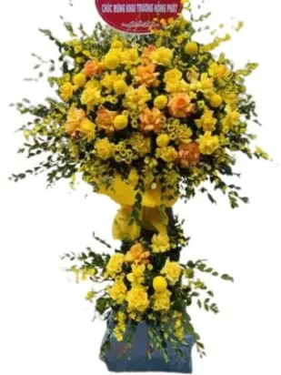 kệ hoa chúc mừng hoa nắng thành công