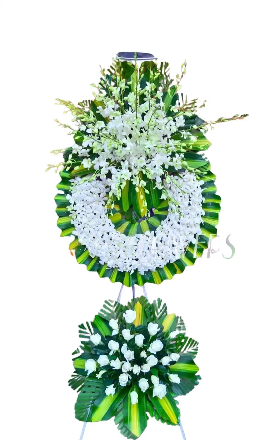 1650 (4) kệ hoa viếng dòng sông chia ly