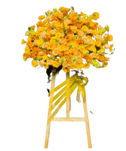 kệ hoa khai trương vượt sóng thăng hoa