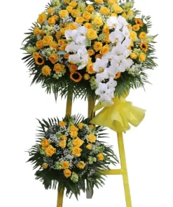 kệ hoa khai trương cánh hoa vinh quang