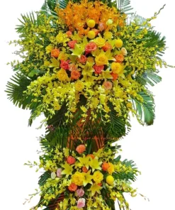 kệ hoa chúc mừng ước mơ tỏa sáng