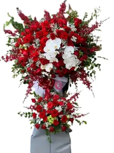 3000 (2) Kệ hoa khai trương chinh Phục đỉnh cao