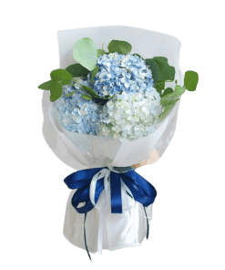 bó hoa cẩm tú cầu