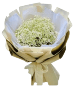 bó hoa baby trắng