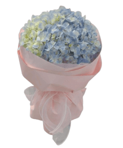 bó hoa cẩm tú cầu