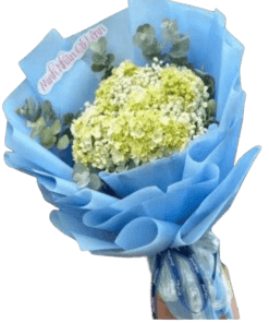 bó hoa cẩm tú cầu