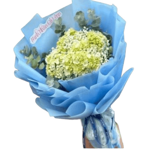 580-520 bó hoa cẩm tú cầu