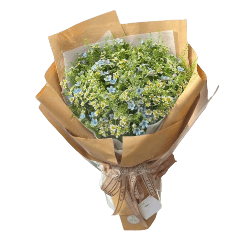 660K bó hoa cúc tana