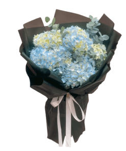 bó hoa cẩm tú cầu xanh hy vọng