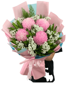 bó hoa cúc mẫu đơn hồng