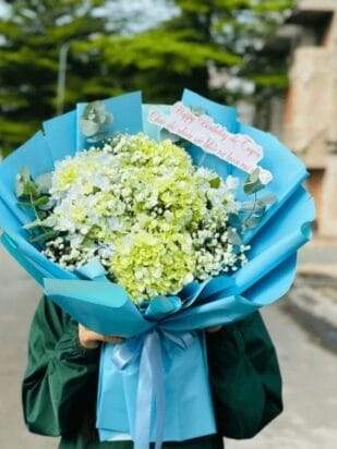 bó hoa cẩm tú cầu