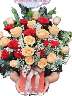 giỏ hoa sương mai