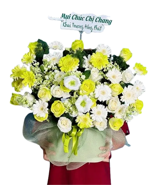 650 (5) ĐƯỢC XÓA NỀN giỏ hoa hồng