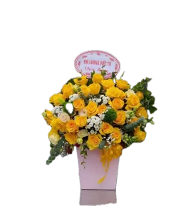 giỏ hoa của hy vọng