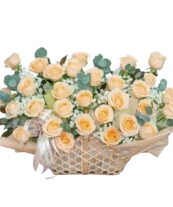 giỏ hoa hồng kem dịu dàng
