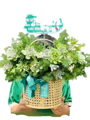 giỏ hoa biển xanh