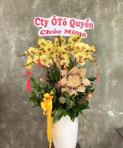 lan hồ điệp vàng phú quý cát tường