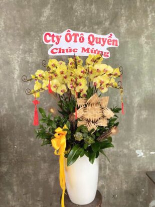 lan hồ điệp vàng phú quý cát tường