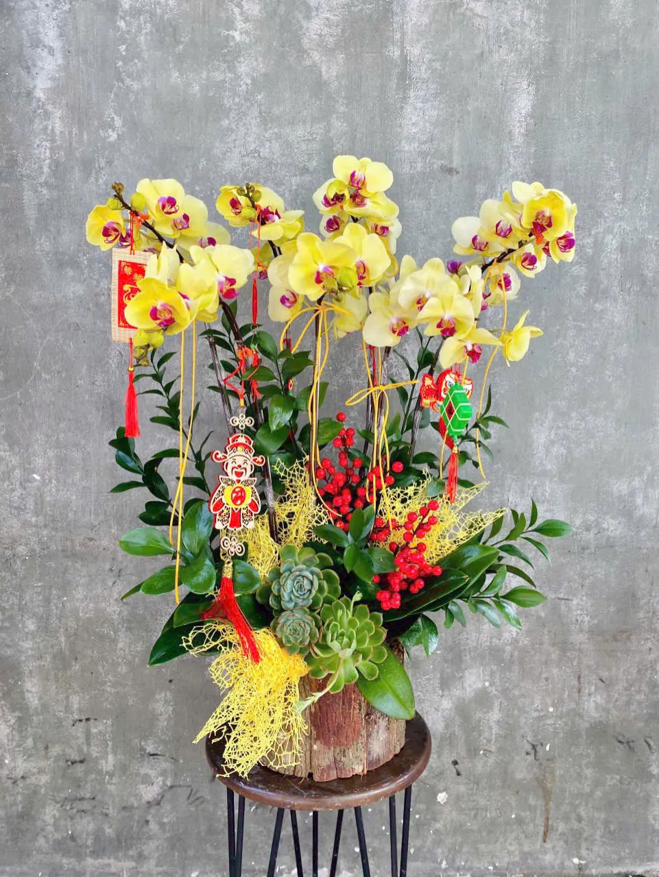 Z7034225343811_EB8D7A0DD77E106EEA19F03C1C7638C8 chậu lan hồ điệp đại lộc đại phát