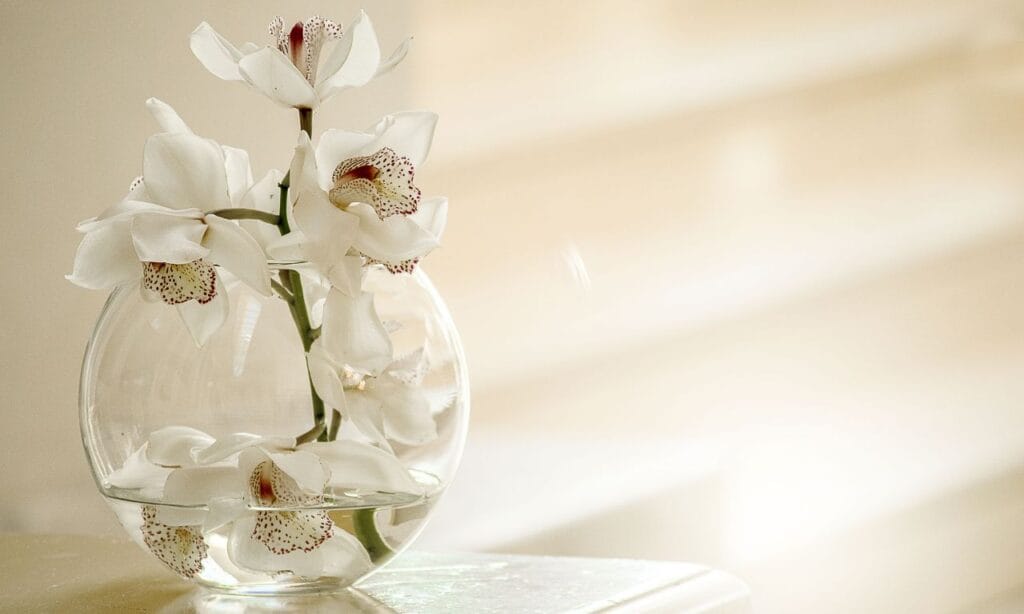 ý nghĩa các loài hpa